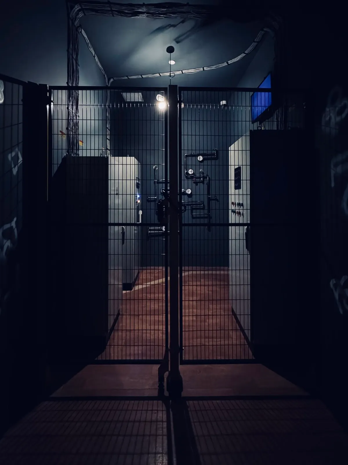 Alice in Bearryland in-game screenshot 7